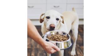 Nahrungsergänzung für Tiere
