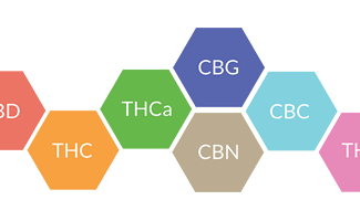 Die wichtigsten Cannabinoide - Die wichtigsten Cannabinoide - weehemp