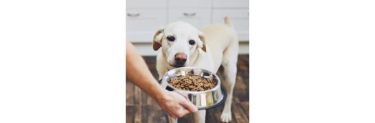 Nahrungsergänzung für Tiere