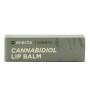 CBD Lippenbalsam Natural