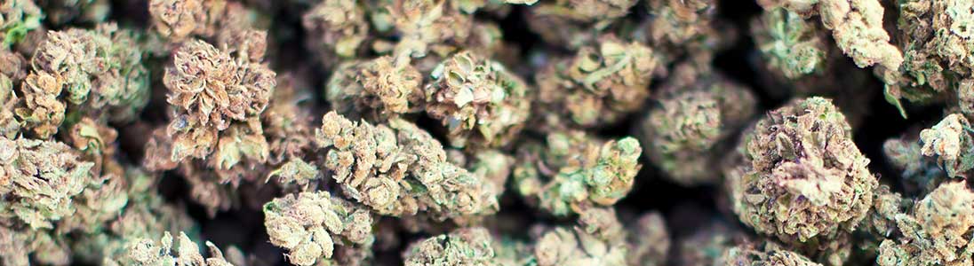 Lagerung von Cannabis