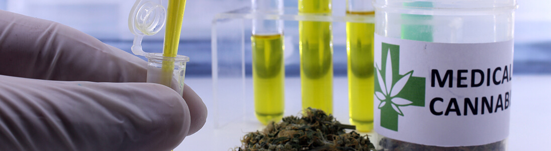 12 Pro und Kontras von medizinischem Cannabis