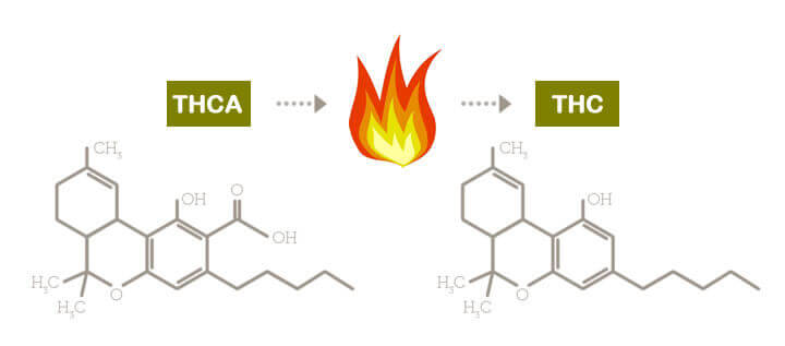 thca-thc